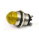 Dialight 556-170A-314F