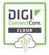 Digi CC-CS-ESS-100-1YR