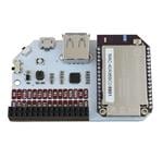 Onion OM-D-EXP Enlarged Image