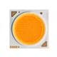 Cree LED CXA2540-0000-000N00X250F