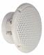 Visaton FR 8 WP - 8 Ohm (white)